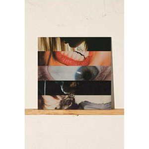 Nick Murphy Missing Link LP Vinyl Record Album New